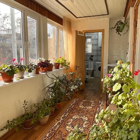 Gulnara Guest House Balykchy Exterior photo