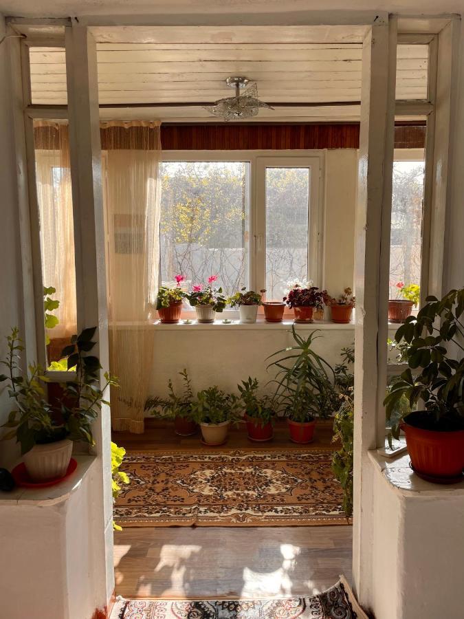 Gulnara Guest House Balykchy Exterior photo